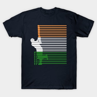 India Cricket With Indian Flag Brush Stroke T-Shirt